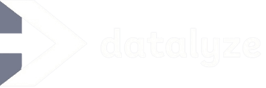 Datalyze Logo